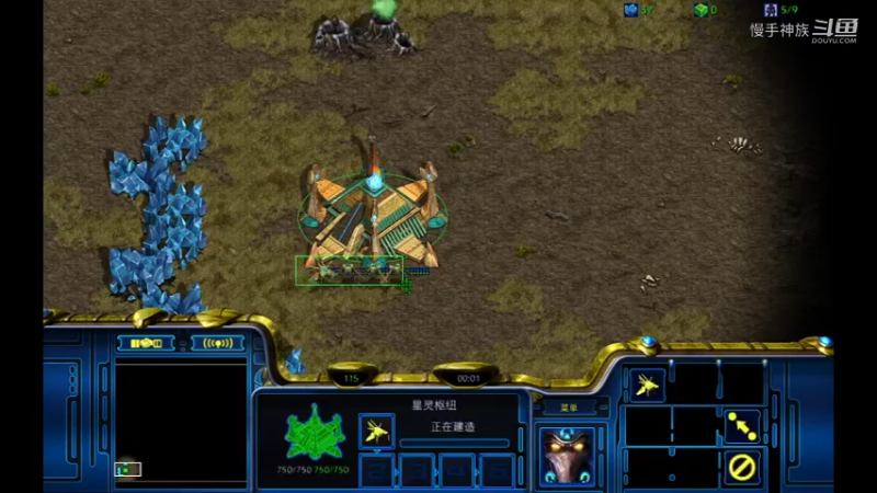 pvz-博一波rush-慢手星际争霸2022-07-07