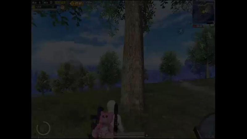 "强的不是我，是我的18岁"