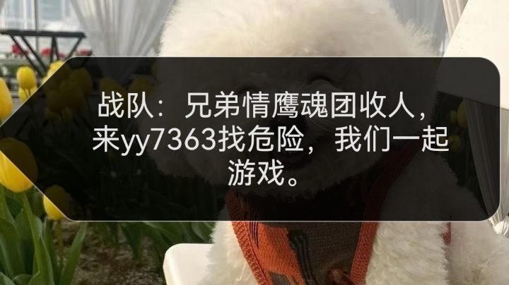 cf兄弟情战队鹰魂团收长期在线玩家