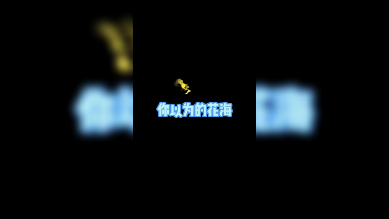 这就是你们认识的花海