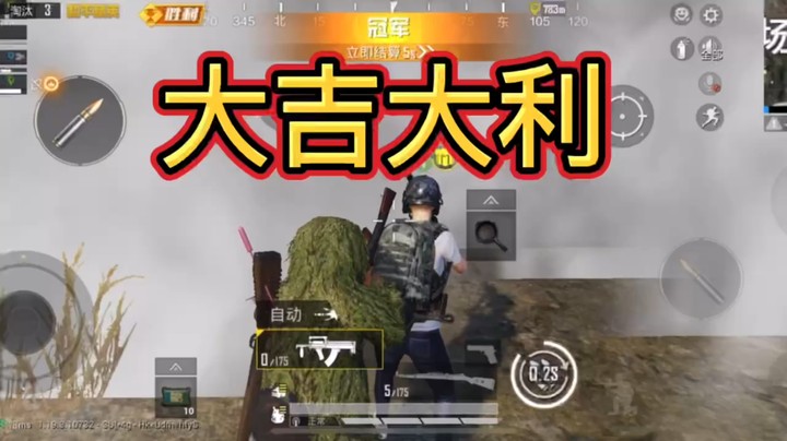 和平精英大吉大利