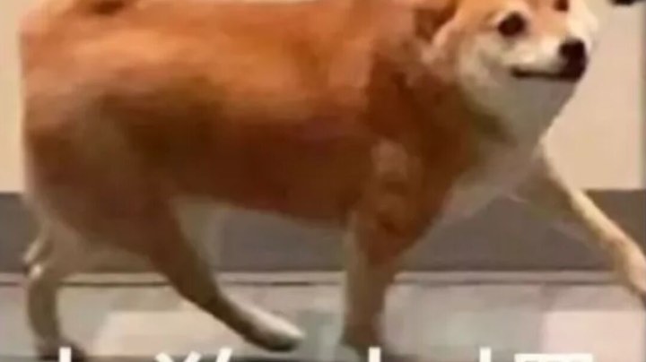 啊啊啊啊打