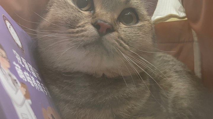 连胜之后就是连跪