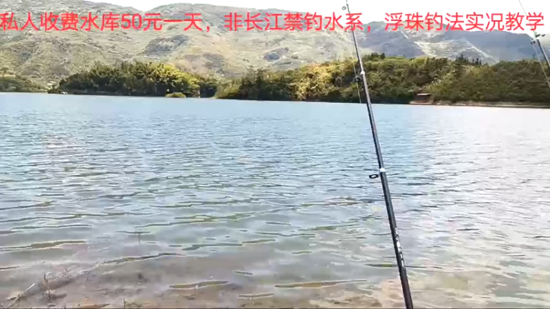 【2022-07-10 12点场】中华户外钓鱼：再战根据地