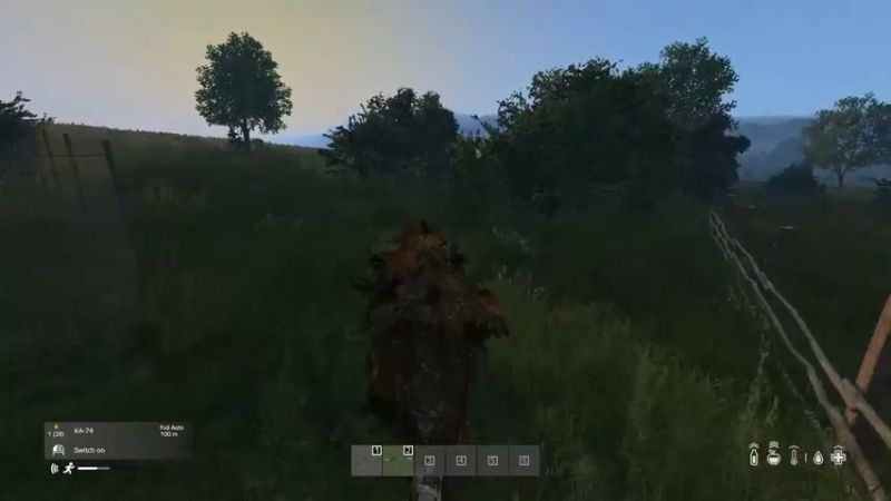 【2022-07-10 17点场】dayz韩爱东西：打开这个游戏，你将忘却世间所有的烦恼