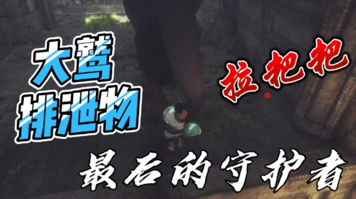 最后的守护者：大鹫拉的粑粑你见过吗？