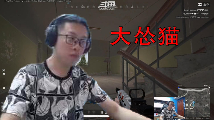 【大龙猫】大怂猫