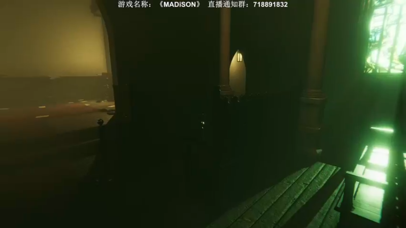 【2022-07-10 22点场】半支烟：【半支烟】恐怖游戏新作《MADiSON》
