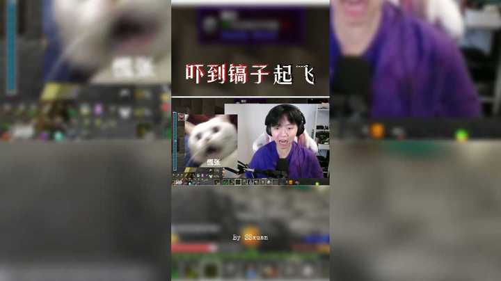 瑄的胆子有多大！鼠一样大！