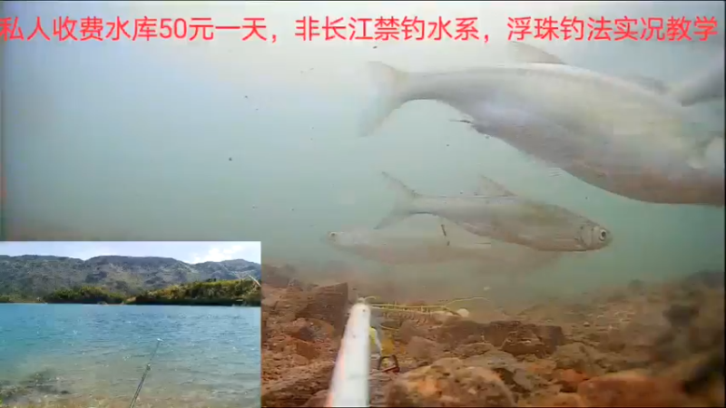 【2022-07-12 14点场】中华户外钓鱼：再战根据地