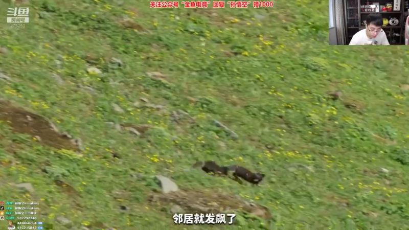 【2022-07-12 16点场】孙悟空丨兰林汉：孙悟空：新版本，我无敌了