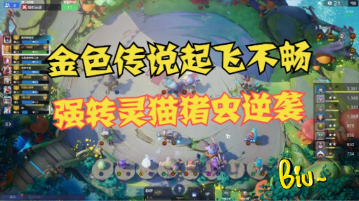 6地精被9法教育，强转灵猫猪虫逆袭