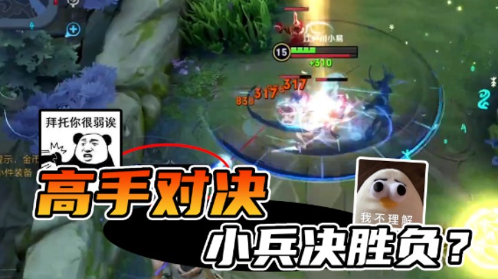 木兰solo赛活捉一直超萌！但是小兵你怎么回事小兵？