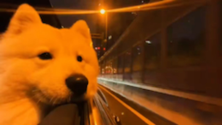 Evbaby发布了一个斗鱼视频2022-07-12