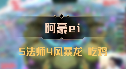 【阿豪ei】5法师4风暴龙 吃鸡