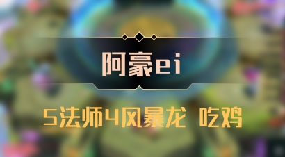 【阿豪ei】5法师4风暴龙 吃鸡