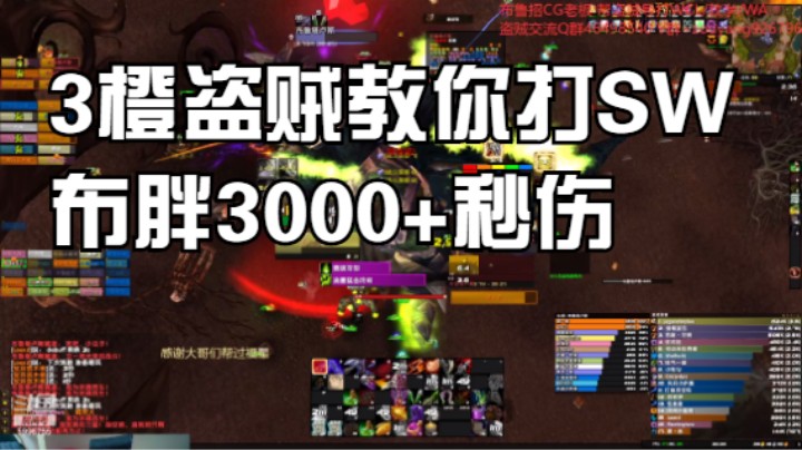 3橙盗贼教你打SW布胖3000+秒伤