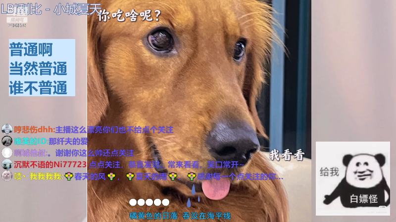 【音乐】仔仔呐Zz的精彩时刻 20220714 22点场