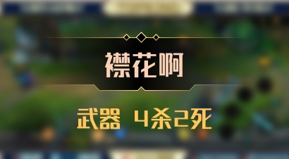 【襟花啊】武器 4杀2死