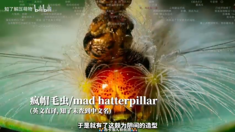 【2022-07-14 20点场】徐不鸽：都进来享福。
