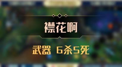 【襟花啊】武器 6杀5死