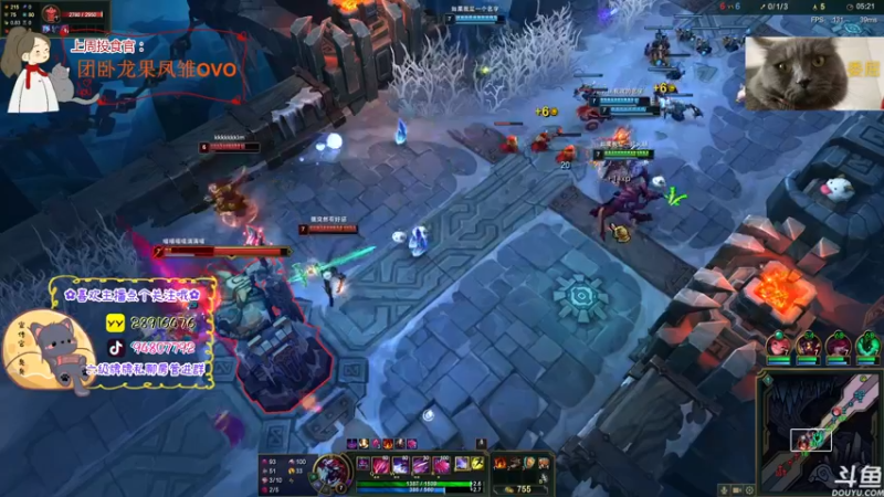 【2022-07-14 20点场】哦呦orz：【小奶团】嘿！呼噜噜