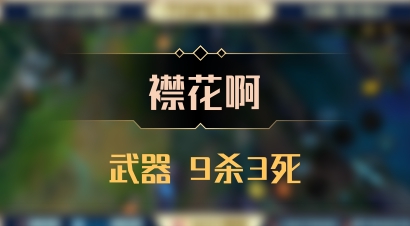 【襟花啊】武器 9杀3死