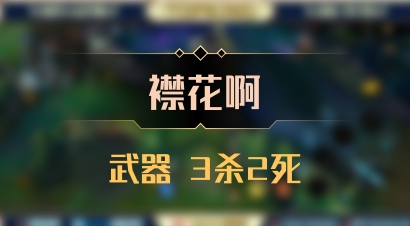 【襟花啊】武器 3杀2死
