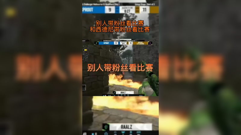 专业解说西德尼