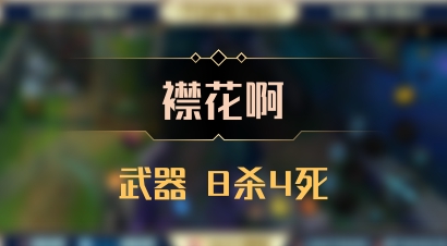 【襟花啊】武器 8杀4死