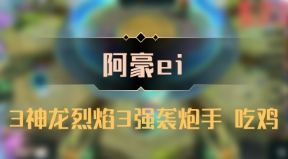 【阿豪ei】3神龙烈焰3强袭炮手 吃鸡