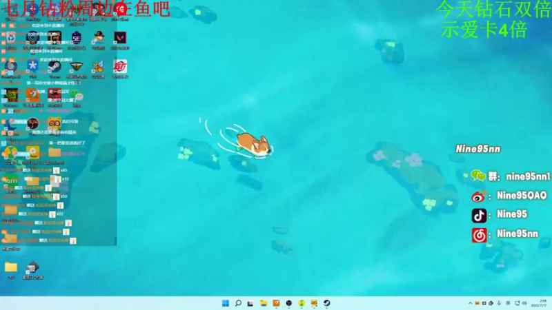 【2022-07-17 02点场】Nine95nn：【小5】新人主播麻烦大家点点关注