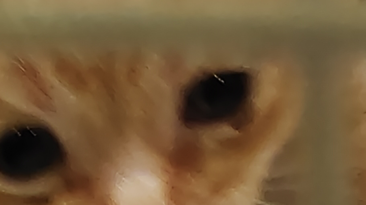 九灵神域