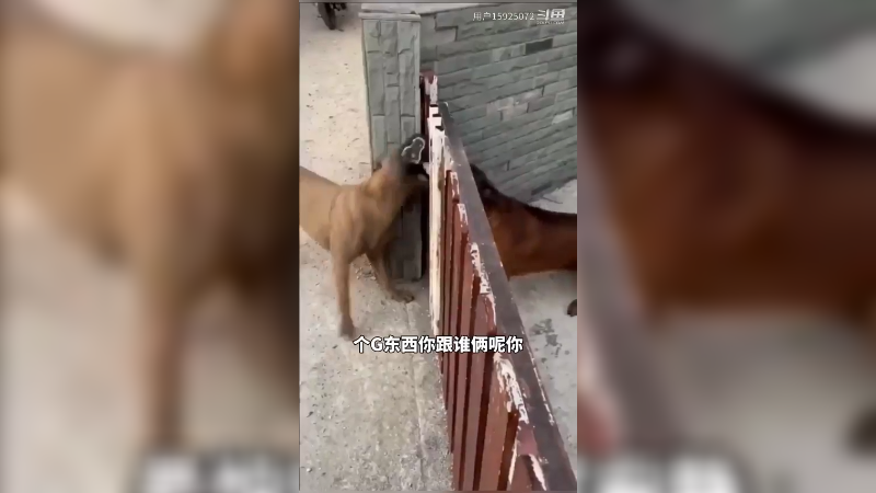 最怕空气突然安静，尴尬的笑出声儿。