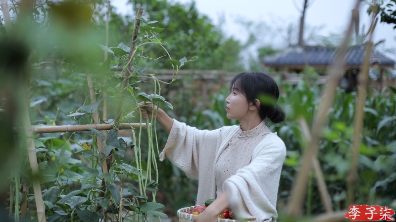【美食】李子柒liziqi的精彩时刻 20220717 17点场