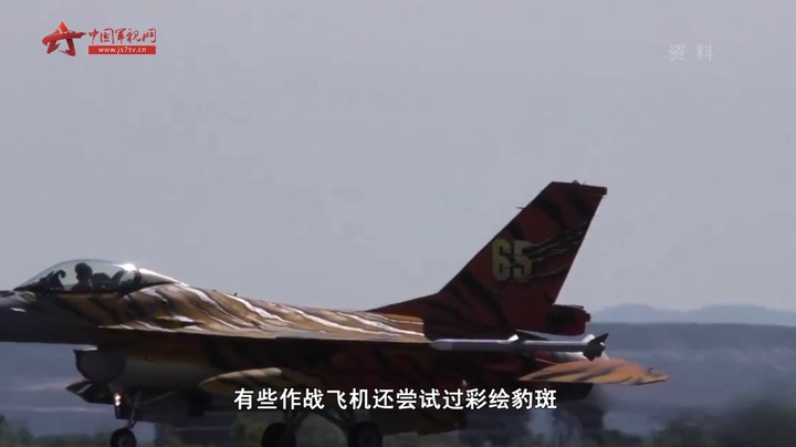 五颜六色的飞机涂装灵感从哪来？大自然给你答案