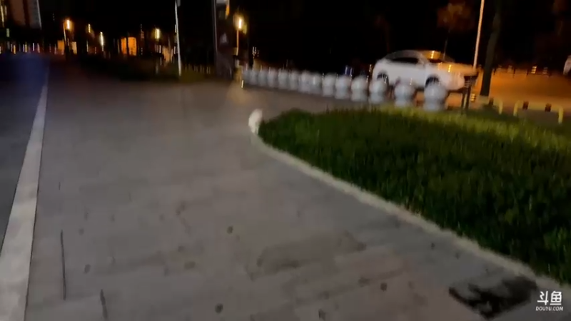 【2022-07-15 00点场】别问问就黑皮：【小奶团】黑皮