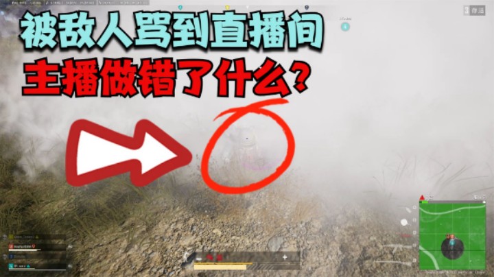 高难度决赛圈翻盘，主播1个神操作，被敌人骂到直播间