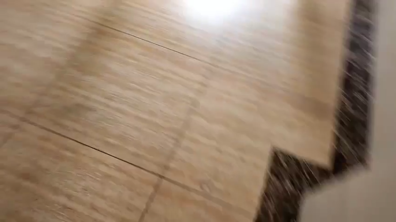 【2022-07-17 14点场】叶子户外：《饥饿游戏》郴州高椅岭day11