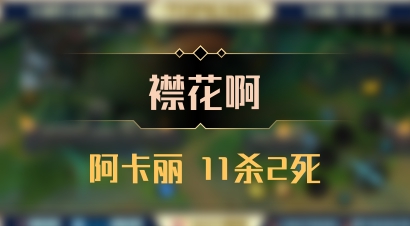 【襟花啊】阿卡丽 11杀2死