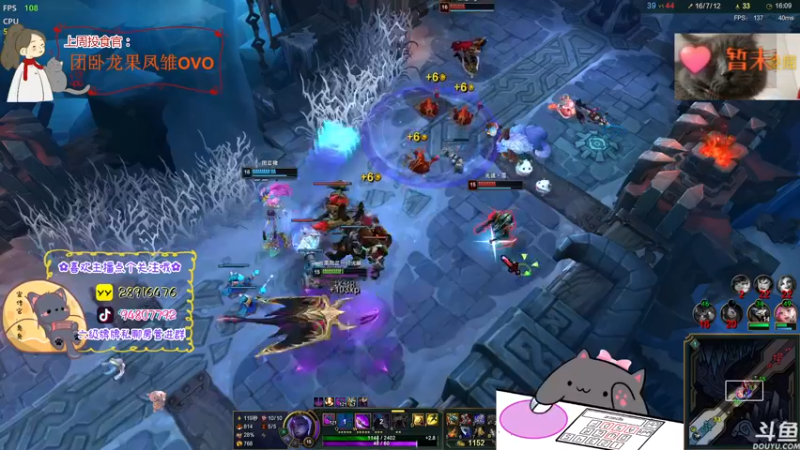 【2022-07-18 22点场】哦呦orz：【小奶团】我是一只傻鸟