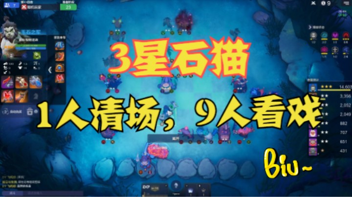 3星石猫！1人清场，9人看戏