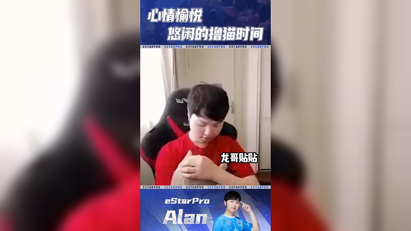 猫可爱还是我可爱