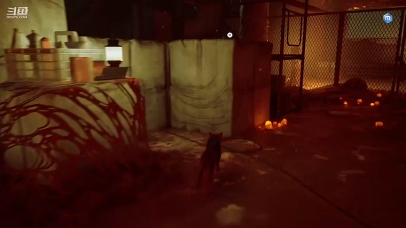 【2022-07-20 17点场】兔叽叽丫：❤上车车❤小猫咪的流浪大冒险