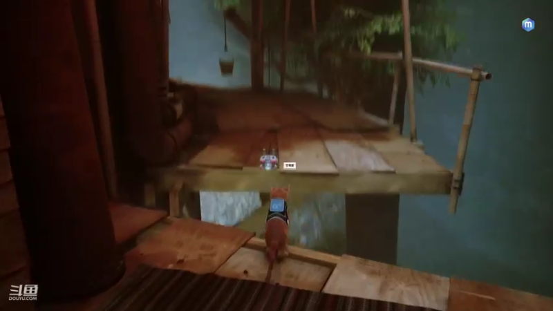 【2022-07-20 19点场】兔叽叽丫：❤上车车❤小猫咪的流浪大冒险