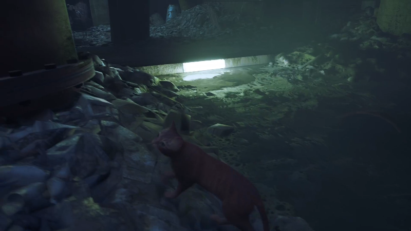 【主机其他游戏】狐狸不太Sao的精彩时刻 20220720 09点场