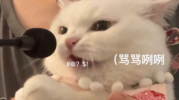 很无语