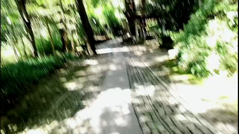 【2022-07-20 14点场】落叶听松：户外直播：游玩杭州景区！