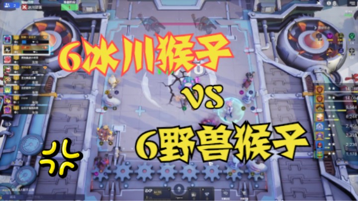 6野兽转6冰川——冰川猴与野兽猴的极致对决