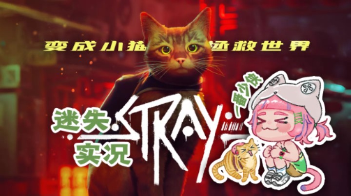 《Stray 迷失》实况合集 下半部分 【一番少侠】